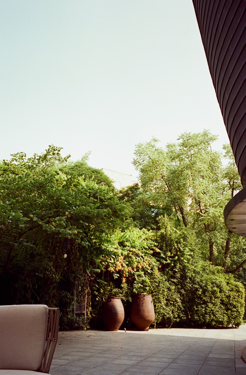 A quiet paved courtyard in daylight, bordered by dense green trees and shrubs. Two large terracotta jars stand against the foliage. The edge of a curved, slatted building wall cuts in at the top right, and the corner of a cushioned chair shows at bottom left.